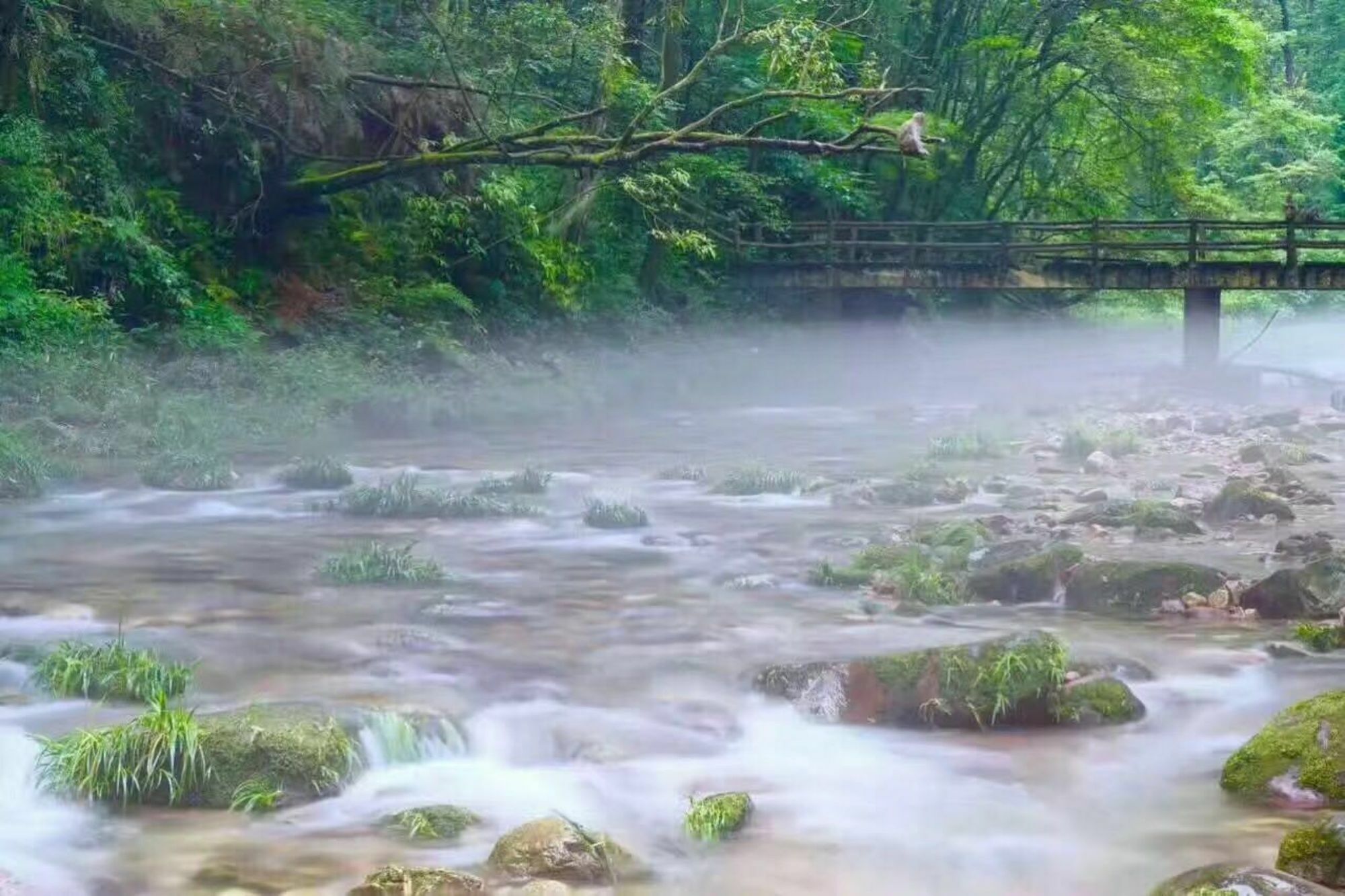 Zhangjiajie Yueranju Hostel Екстер'єр фото